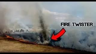 Fire Twister in Field Fire
