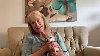 Pet Life Care Agreements