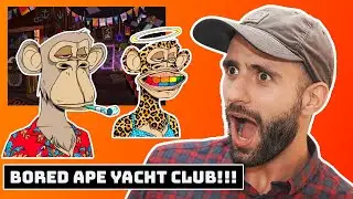 Bored Ape Yacht Club Explained