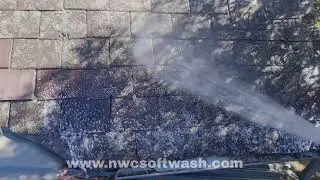 NWC Quat 50 Biocide treatment on lichen covered slate roof