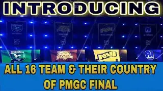 Introducing All 16 Teams & Their Country Of PMGC FINAL 2020