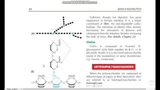 Homopolysachharides structure of Dextrins Dextrans Inulin Glycogen Cellulose Chitin biochemistryDMLT