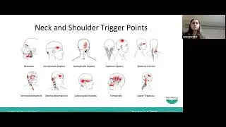 It's Not all in your Head: an Integrative Approach to Headache