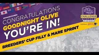 2022 Ballerina- Goodnight Olive
