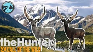 DIAMONDS EVERYWHERE! FALLOW DEER HIGHLIGHTS!- The Hunter call of the wild