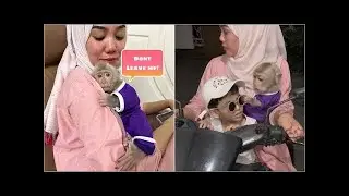 Baby Monkey Alpha doesn't want to wait at home when Mommy goes out to buy food