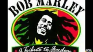 SUKA REGGAE