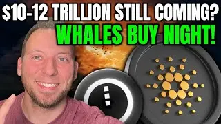 CARDANO ADA - $10-12 TRILLION STILL COMING?!! WHALES BUYING NIGHT!