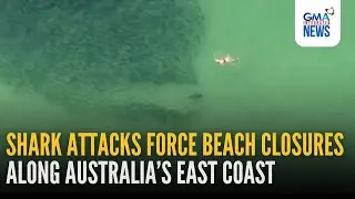 Shark attacks force beach closures along Australia&rsquo;s east coast | GMA Integrated News