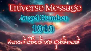 Universe Messages | 1919 Angel number | නොසිතුව වෙලාවක ජීවිතේම පෙරලියක් | #love #1919 #universe 🥀❤️🦋
