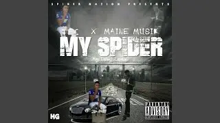 My Spider