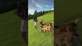 Funny fails 😂😂😂 #dailydose #funny #viral #shorts #2024