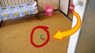 Fixies in my house (Test CGI cartoon movie for kids)