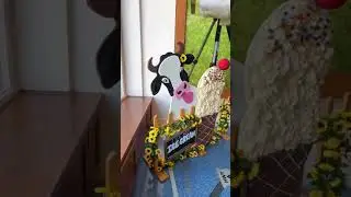 Taking mini cows to our city's visitor center
