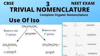 USE OF ISO ORGANIC CHEMISTRY/TRIVIAL NOMENCLATURE/COMMON NOMENCLATURE //AR CHEMISTRY DHAM