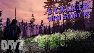 ОДИНОЧКА МУРИК В ЗОНЕ НА NEW STORY STALKER RP | DAYZ