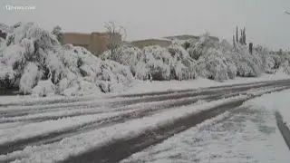 A Look Back: One year ago record snowfall hit Arizona