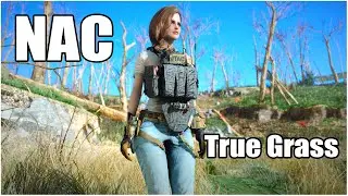 True Grass and NAC MOD SHOWCASE | Fallout 4 Next-Gen Update Mods 2024
