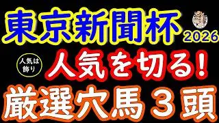 東京新聞杯2026｜人気は飾り！桜花が選ぶ絶対注目の穴馬3頭と冬東京芝の高速決着条件