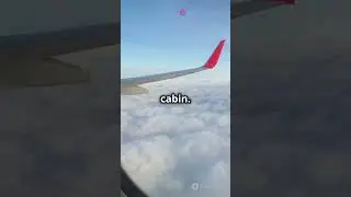 Why Airplane Windows Have Tiny Holes! ✈️
