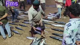 uppada fishing harbour Lo బహు విస్తారంగా జాలర్లకు పడ్డ కొనం చేపలు /kingfish auction /Prasad Uppada