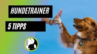 5 Tipps f&uuml;r gute Hundetrainer