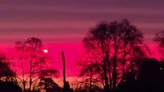 #pink#sunset