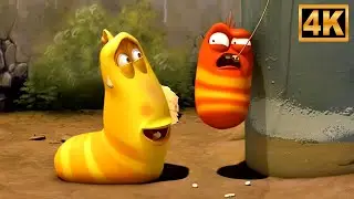 Larva Episode 35  Cavity Fun Animated Cartoon Show For Kids
