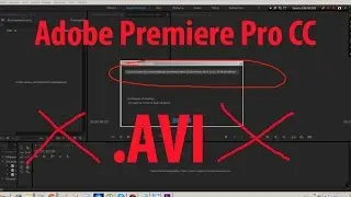 Премьер не видит файлы  .AVI. Решение есть.