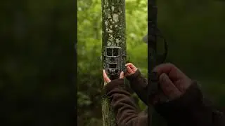 Observer la vie sauvage sans &ecirc;tre vu - Numaxes Cam&eacute;ra