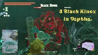 8 Black Hinox in Depths - Zelda Tears of The Kingdom.