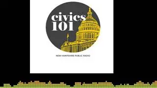ICE: U.S. Immigration and Customs Enforcement