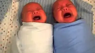 Twin Babies Crying