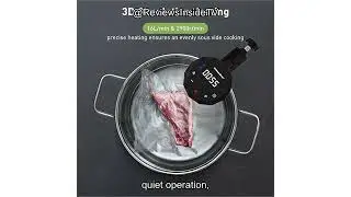 KitchenBoss G300PT Sous Vide Review: Is This Ultra-Quiet Cooker Worth It in 2025?