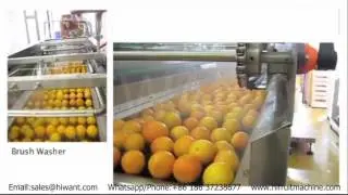 Commercial Citrus Juicer orange processing machinery/ Plant , Food Grade SUS304, Famous Brand
