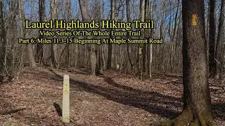 LHHT: Miles 11.3-15 Began At Maple Summit Road- Laurel Highlands Hiking Trail