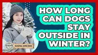 How Long Can Dogs Stay Outside In Winter?