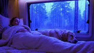 Heavy Rain Sounds with Thunder for Sleep, Focus, and Stress Relief