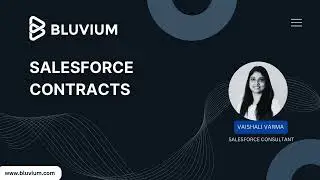Salesforce Contracts | Bluvium