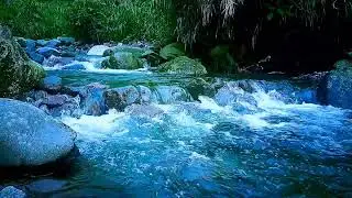 Riverbank Whispering Waters Sleep Sounds for Stress Relief & Deep Restful Sleep