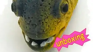 Pira&ntilde;a cinco puntas UNBOXING Piranhas and co