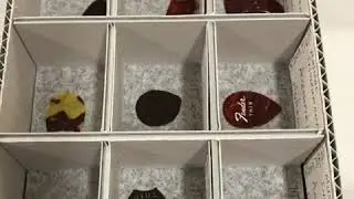 Unboxing of musical instrument case