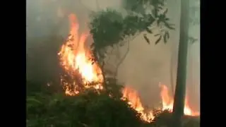 Indonesia haze persists as resources run dry
