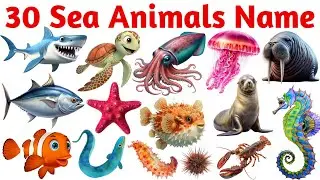 Learn 30 Sea Animals for Kids 🐬 | Sea Animals Name in English for Toddlers | 30 Ocean Animals 