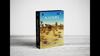 Nature LUTs Color Grading