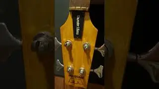 Forensic Scrutiny Westone Thunder 1 Bass