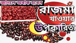 রাজমা খাওয়ার আশ্চর্য উপকারিতা/Health Benefits Of Kidney Beans 