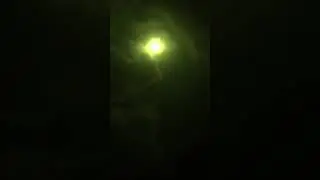 Eclipse Aug21 2017 (ZOMBIES EVERYWHERE! NATION WIDE ALERT! PLANET X / NIBIRU VISIBLE! FLAT EARTH!!!)