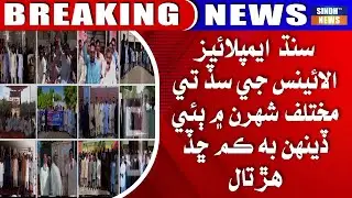 Sindh Employees Alliance Ji Sadd Te Mukhtalif Shahran Mein Bhae Din Kam Chhadd Hartal