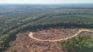 October flyover of timber harvest